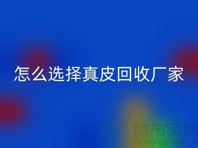 ####广州知名九游体育（中国）官方授权网站库存皮革厂家推荐-怎么选择真皮九游体育（中国）官方授权网站厂家