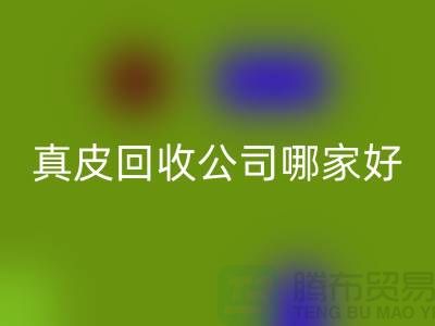 真皮九游体育（中国）官方授权网站公司哪家好？如何选择优质的真皮九游体育（中国）官方授权网站公司