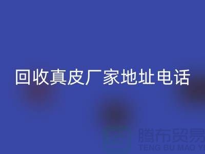 废旧皮革九游体育（中国）官方授权网站对环境保护的重要意义-广州九游体育（中国）官方授权网站真皮厂家地址