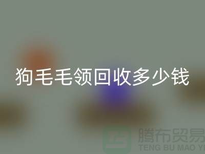 狗毛毛领九游体育（中国）官方授权网站多少钱一条