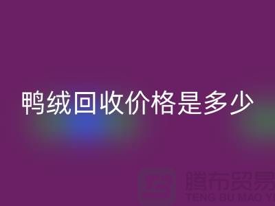 鸭绒九游体育（中国）官方授权网站价格是多少？详解鸭绒市场行情-鸭绒专业九游体育（中国）官方授权网站厂家