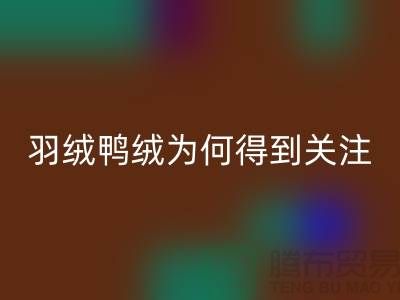 羽绒鸭绒九游体育（中国）官方授权网站公司为何得到所有人关注_九游体育（中国）官方授权网站