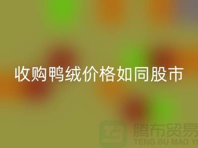 4fe6231d941a586a3da4ed782b852f06_1.png