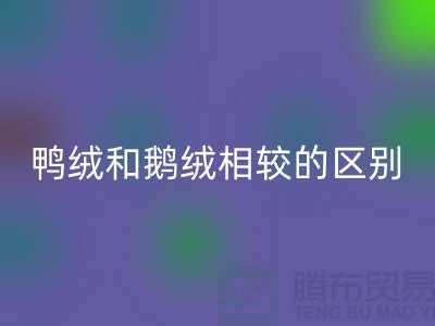 鸭绒和鹅绒相较后的区别-90鸭绒九游体育（中国）官方授权网站-库存羽绒九游体育（中国）官方授权网站公司