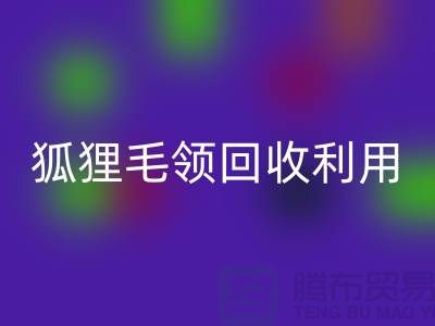 真毛九游体育（中国）官方授权网站_毛领九游体育（中国）官方授权网站_狐狸毛领九游体育（中国）官方授权网站利用_九游体育（中国）官方授权网站