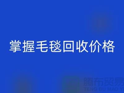 掌握毛毯九游体育（中国）官方授权网站价格，让旧物焕发新生价值-南通家纺库存九游体育（中国）官方授权网站厂家