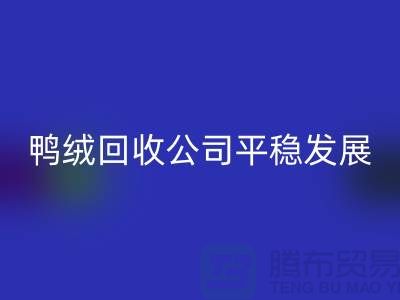 旧鸭绒九游体育（中国）官方授权网站公司商家更加的平稳发展_九游体育（中国）官方授权网站