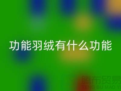 什么是功能羽绒-包含了什么功能-九游体育（中国）官方授权网站库存羽绒-九游体育（中国）官方授权网站库存鸭绒厂家