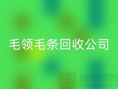 毛领毛条九游体育（中国）官方授权网站公司讲述毛领如何清洗_九游体育（中国）官方授权网站