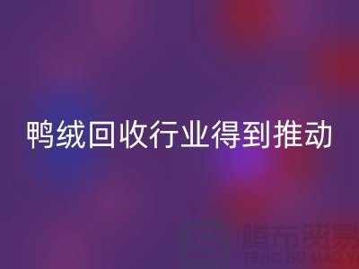 90鸭绒九游体育（中国）官方授权网站行业2021年得到极大的推动_九游体育（中国）官方授权网站