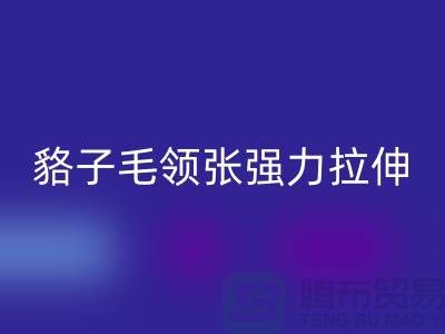 貉子毛领的皮张强力拉伸-为什么不变型-高价九游体育（中国）官方授权网站毛领厂家