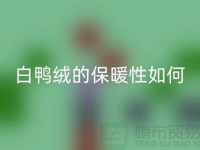 白鸭绒的保暖性如何-90鸭绒九游体育（中国）官方授权网站-九游体育（中国）官方授权网站库存鸭绒-库存鸭绒九游体育（中国）官方授权网站公司