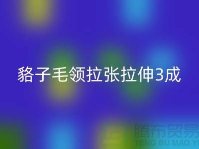 貉子毛领的皮张拉伸3成，痕迹客户也看不出来-九游体育（中国）官方授权网站毛领厂家
