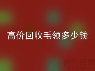 假毛领子和貉子毛领的特点-高价九游体育（中国）官方授权网站毛领多少钱一条-九游体育（中国）官方授权网站毛领厂家
