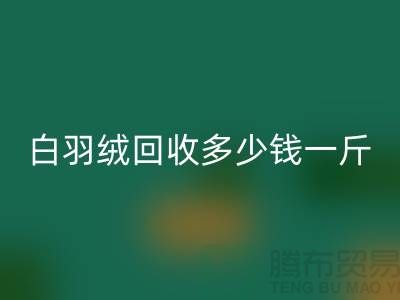 白鸭绒九游体育（中国）官方授权网站_灰鸭绒九游体育（中国）官方授权网站_羽绒九游体育（中国）官方授权网站多少钱一斤_九游体育（中国）官方授权网站羽绒厂家