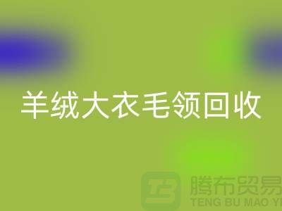 羊绒大衣毛领九游体育（中国）官方授权网站_真皮狐狸毛领九游体育（中国）官方授权网站_九游体育（中国）官方授权网站