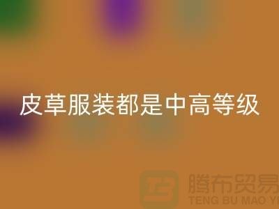 上W块十几W的皮草服装都是中高等级的皮制作的-九游体育（中国）官方授权网站毛领厂家
