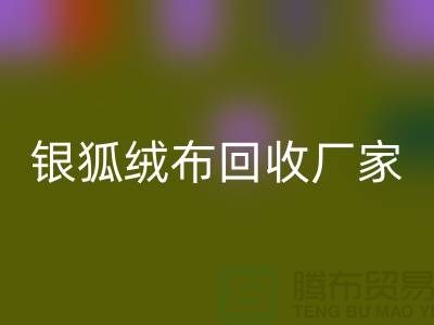 银狐绒布九游体育（中国）官方授权网站厂家：让旧衣物焕发新生-服装面料九游体育（中国）官方授权网站公司