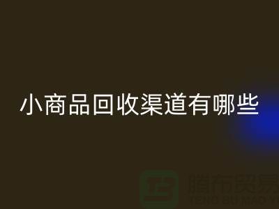 小商品九游体育（中国）官方授权网站渠道有哪些