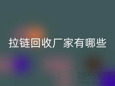 拉链九游体育（中国）官方授权网站厂家有哪些-上海服装拉链收购公司知名企业