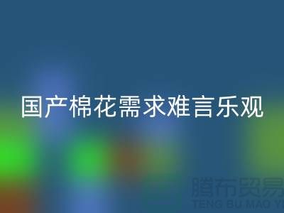 国产棉花需求难言乐观-九游体育（中国）官方授权网站库存棉纱-库存棉纱九游体育（中国）官方授权网站公司