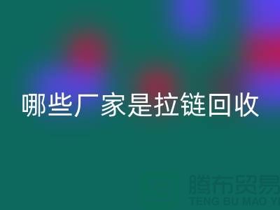 哪些厂家是拉链九游体育（中国）官方授权网站的领导者-库存拉链九游体育（中国）官方授权网站厂家排名榜