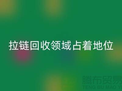 在拉链九游体育（中国）官方授权网站领域占据着重要地位_ykk拉链九游体育（中国）官方授权网站公司