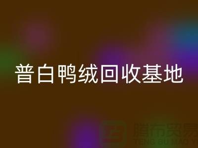 7ca51c1ad6b1290a97ec9416baab71b3_1.png