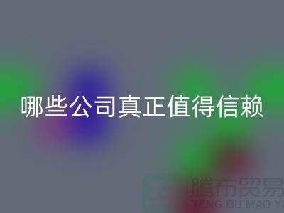 高价九游体育（中国）官方授权网站服装平台：哪些公司真正值得信赖？东莞服装九游体育（中国）官方授权网站公司