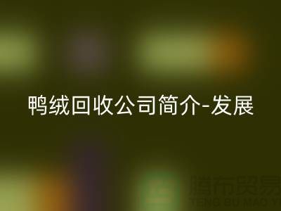 鸭绒九游体育（中国）官方授权网站公司简介-发展背景-业务范围-技术优势-鹅绒九游体育（中国）官方授权网站厂家