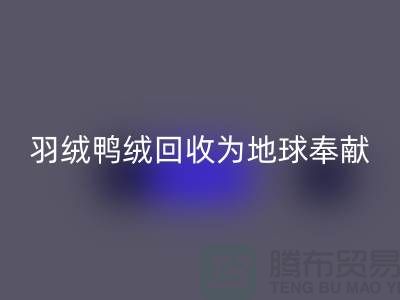羽绒鸭绒九游体育（中国）官方授权网站为地球献出一份爱心，让温暖传递-羽绒九游体育（中国）官方授权网站厂家