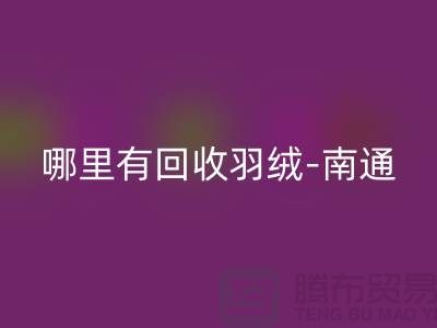 哪里有九游体育（中国）官方授权网站羽绒-南通-无锡长泾-江阴鸭绒鹅绒九游体育（中国）官方授权网站厂家电话