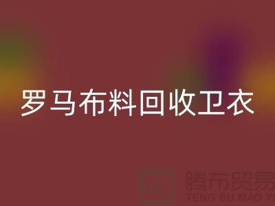 罗马布料九游体育（中国）官方授权网站-卫衣面料九游体育（中国）官方授权网站-毛圈布料九游体育（中国）官方授权网站-上海九游体育（中国）官方授权网站布料辅料公司