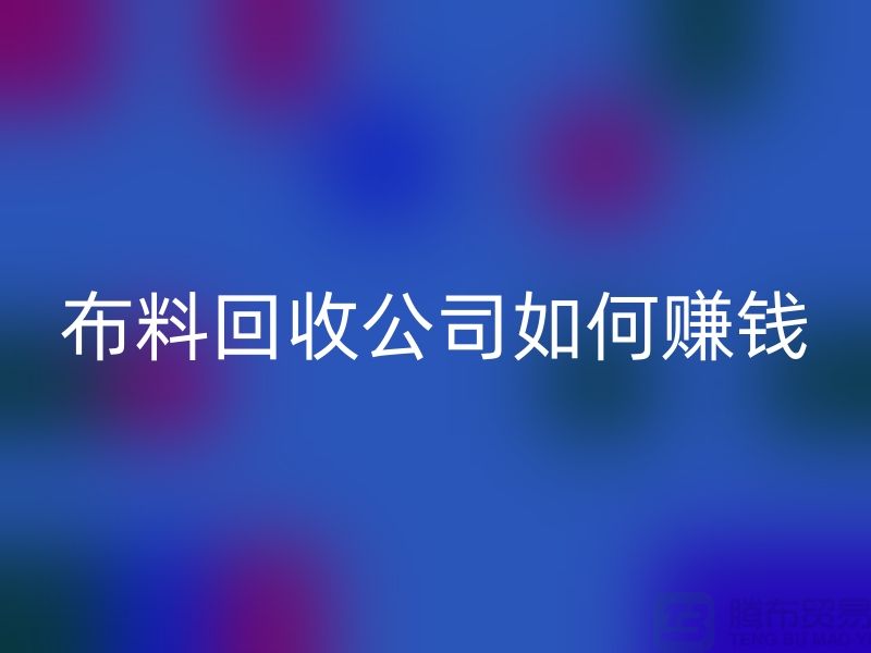 布料九游体育（中国）官方授权网站公司如何赚钱-小白编辑解说-服装面料九游体育（中国）官方授权网站公司