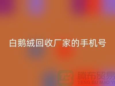 羽绒九游体育（中国）官方授权网站基地的位置，鸭绒九游体育（中国）官方授权网站行情报价，以及白鹅绒九游体育（中国）官方授权网站厂家的手机号