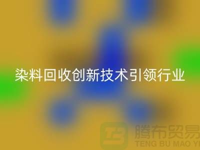 超越传统的库存染料九游体育（中国）官方授权网站公司：创新技术引领行业