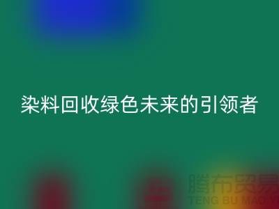 库存染料九游体育（中国）官方授权网站厂家的创新之路：绿色未来的引领者
