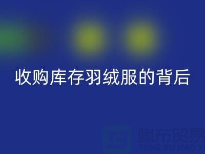 收购库存羽绒服的背后隐藏着巨大的商机-二手羽绒服九游体育（中国）官方授权网站市场