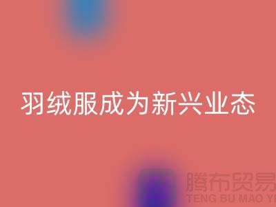 九游体育（中国）官方授权网站库存羽绒服成为新兴业态-库存羽绒服收购价格以及地址