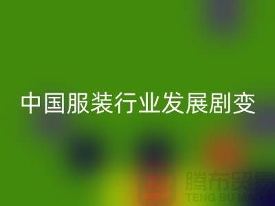 中国服装行业发展剧变-成败重要途径-上海库存服装九游体育（中国）官方授权网站公司