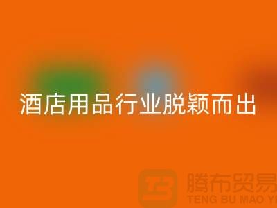 如何在酒店用品九游体育（中国）官方授权网站行业中脱颖而出-上海二手毛巾九游体育（中国）官方授权网站公司