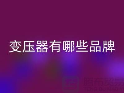 专业变压器九游体育（中国）官方授权网站公司有哪些品牌-二手变压器九游体育（中国）官方授权网站厂家