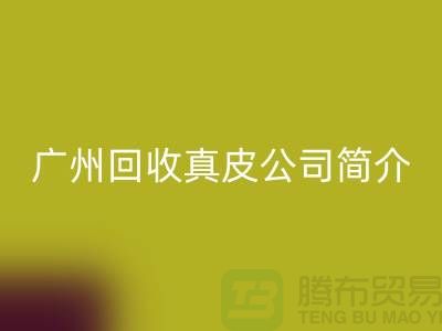 真皮九游体育（中国）官方授权网站厂家介绍-市场价格浮动不定-广州九游体育（中国）官方授权网站真皮公司简介