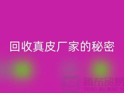 九游体育（中国）官方授权网站真皮厂家的秘密：打造环保时尚的循环经济