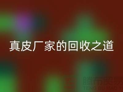 探寻真皮厂家的九游体育（中国）官方授权网站之道：打造环保时尚新潮流