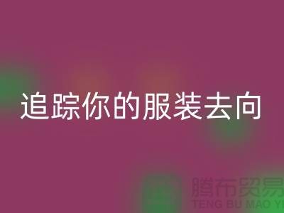 上海服装九游体育（中国）官方授权网站公司大揭秘：追踪你的服装去向，保障环境安全
