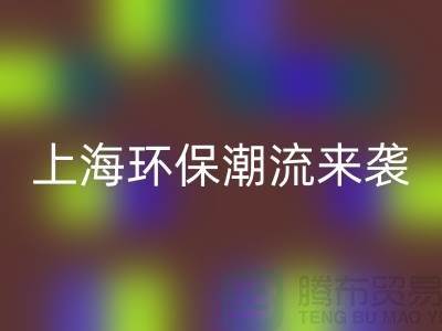 环保潮流来袭：上海服装九游体育（中国）官方授权网站公司为你解忧！