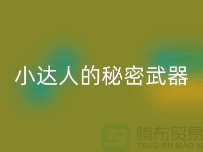 环保小达人的秘密武器：废布边角料九游体育（中国）官方授权网站公司的引领力