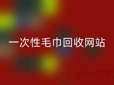 一次性毛巾九游体育（中国）官方授权网站网站有哪些？——上海酒店用品九游体育（中国）官方授权网站公司