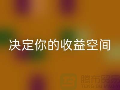 库存服装九游体育（中国）官方授权网站价格如何影响利润？这4个关键因素决定你的收益空间